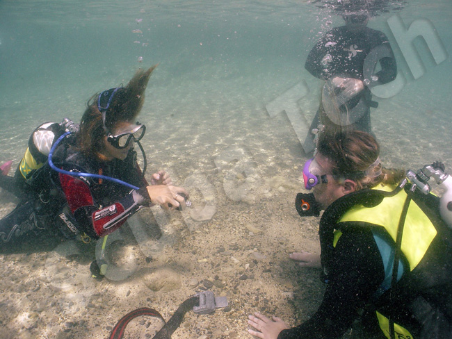 Discover Scuba Divers at Green Bay